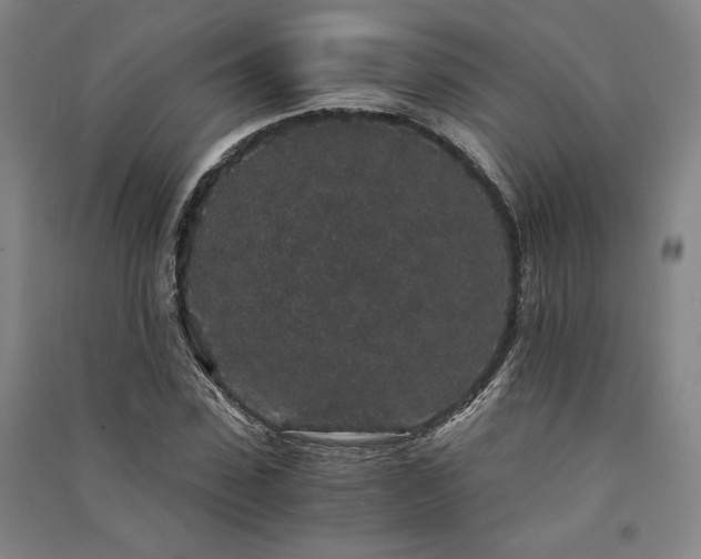 X0000091340923200708171408