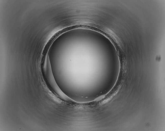 X0000091340924200708171408