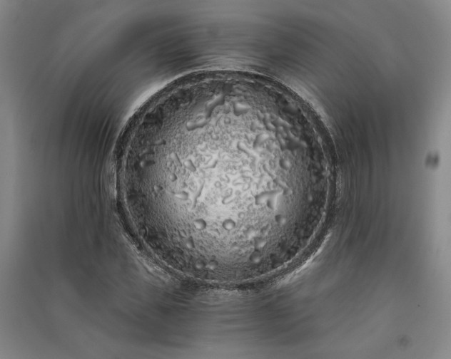 X0000091340925200708171408