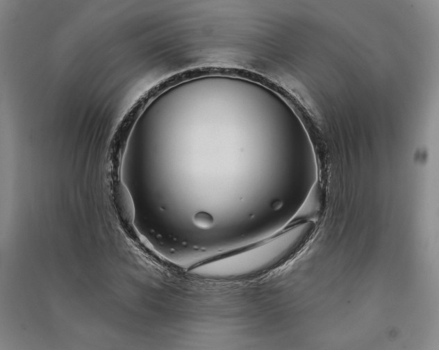 X0000091340926200708171408