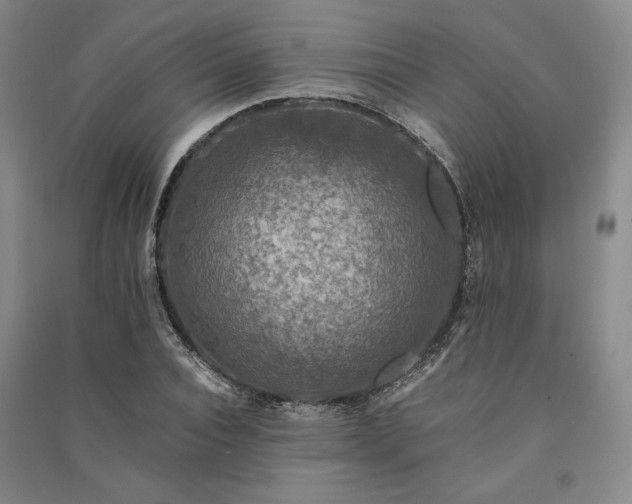 X0000091340928200708171408