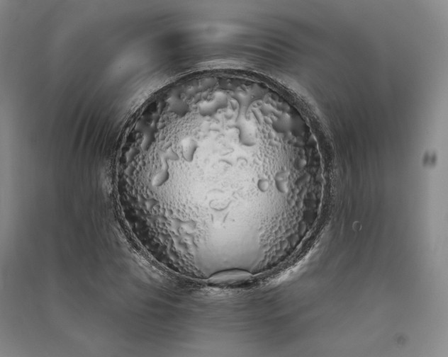 X0000091340929200708171408