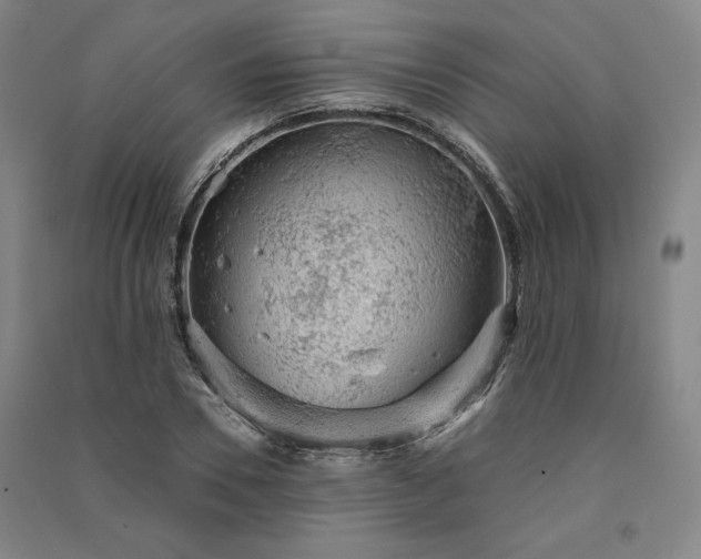 X0000091340930200708171408