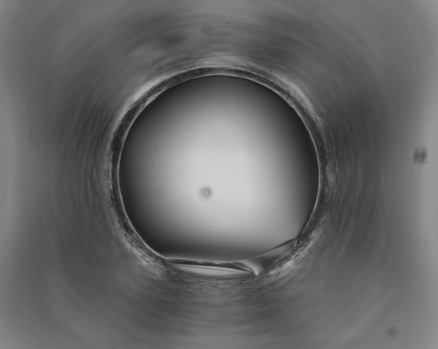 X0000091340931200708171408