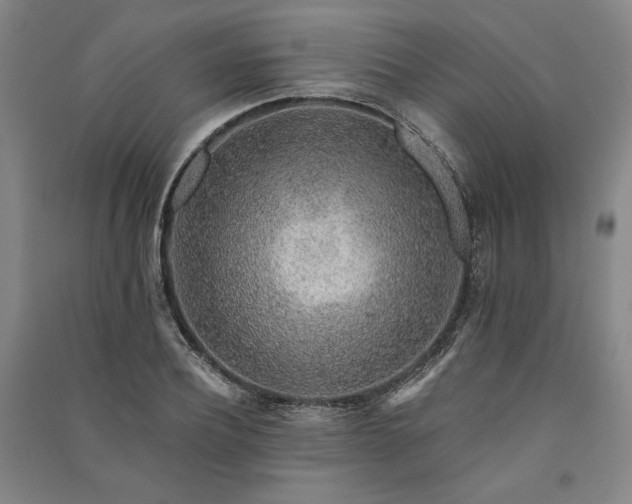 X0000091340932200708171408