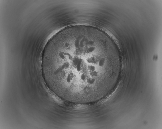 X0000091340933200708171408