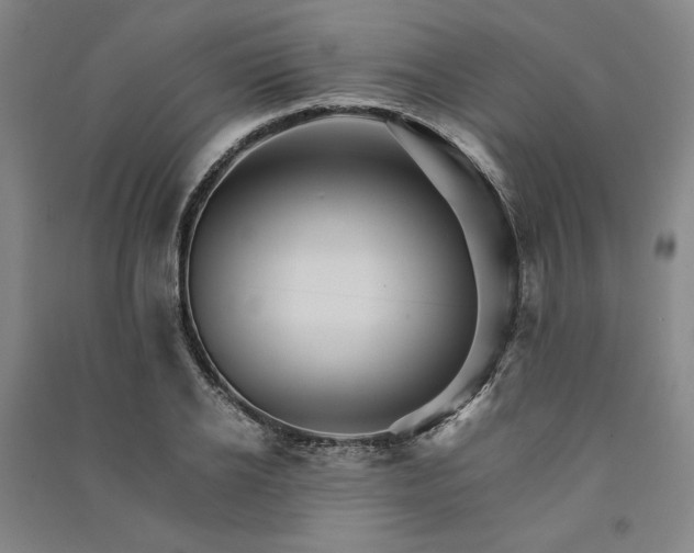 X0000091340934200708171408