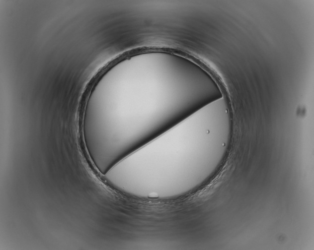 X0000091340935200708171408