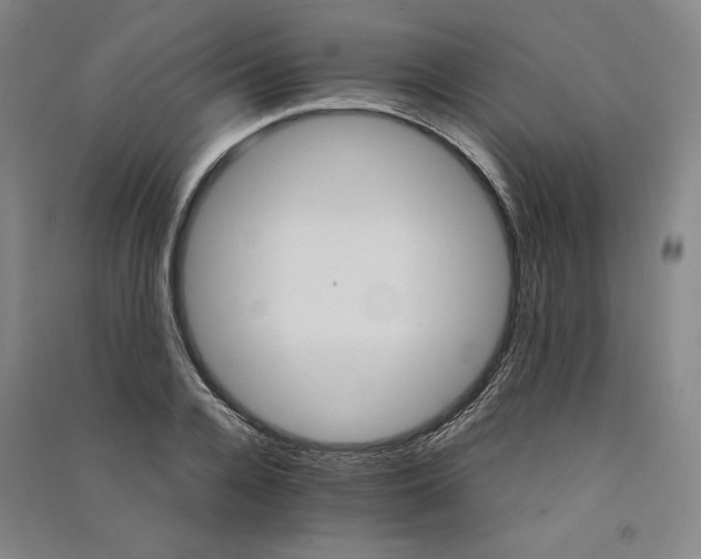 X0000091340936200708171408