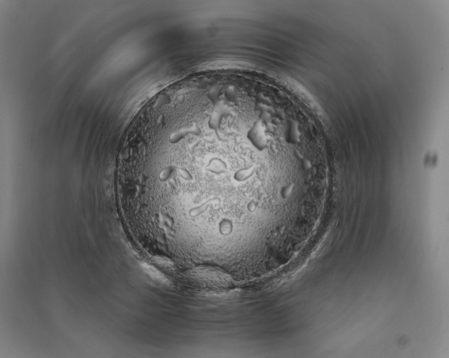 X0000091340937200708171408