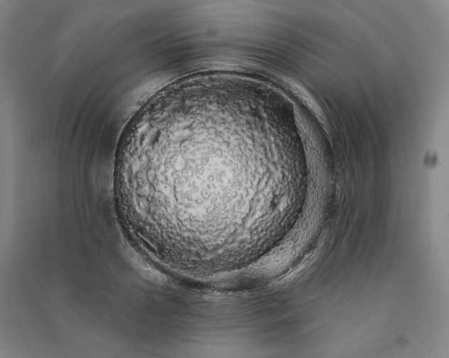 X0000091340938200708171408