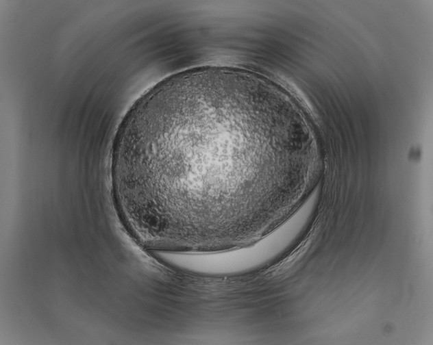 X0000091340939200708171408