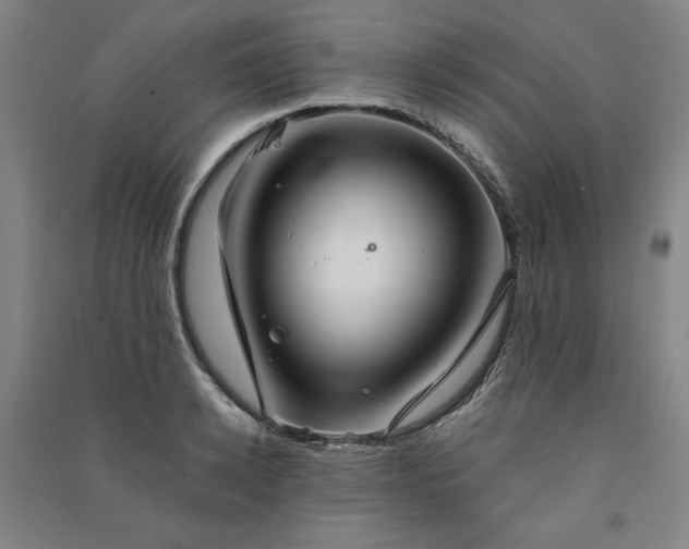 X0000091340942200708171408