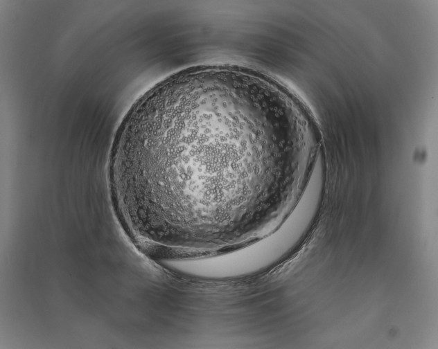 X0000091340943200708171408