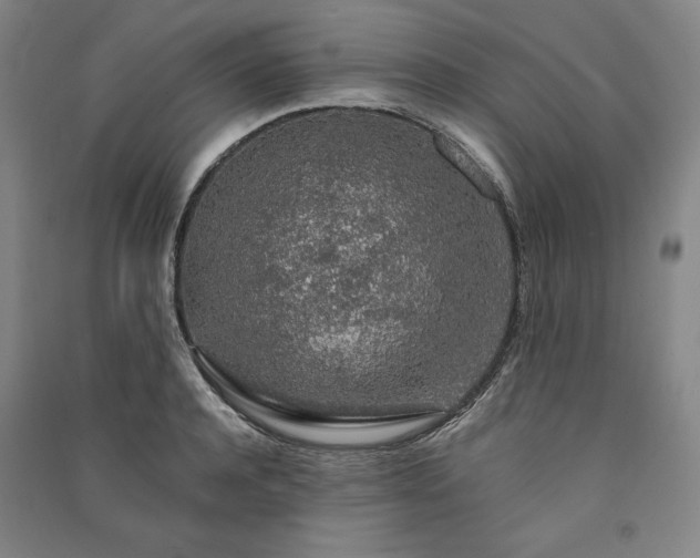 X0000091340944200708171408