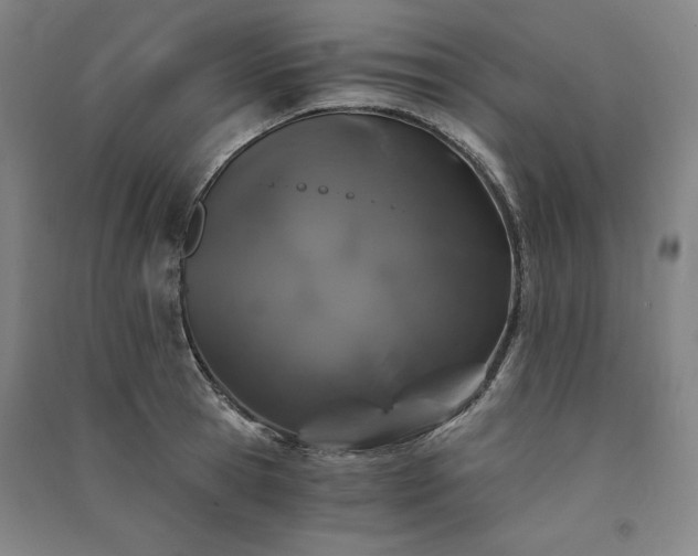 X0000091340945200708171408