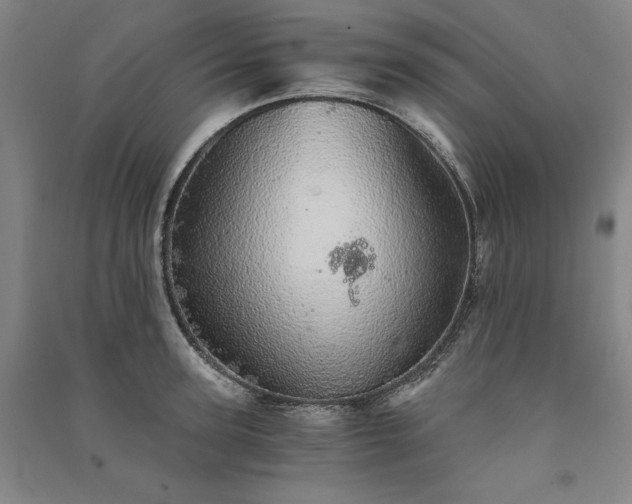 X0000091340947200708171408