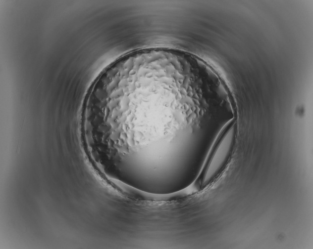 X0000091340949200708171408