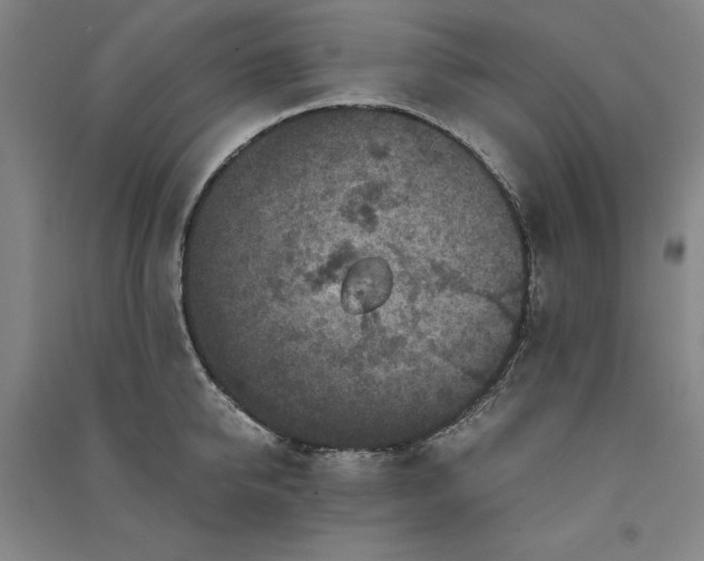 X0000091340950200708171408