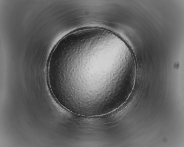 X0000091340951200708171408