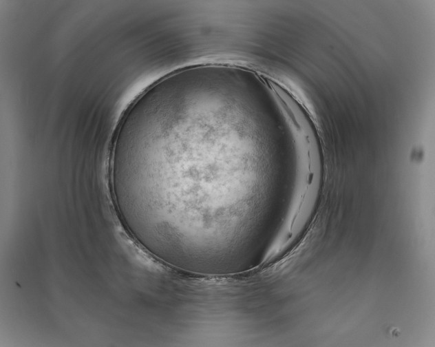 X0000091340952200708171408