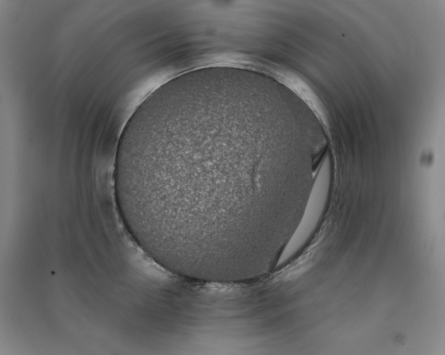 X0000091340954200708171408