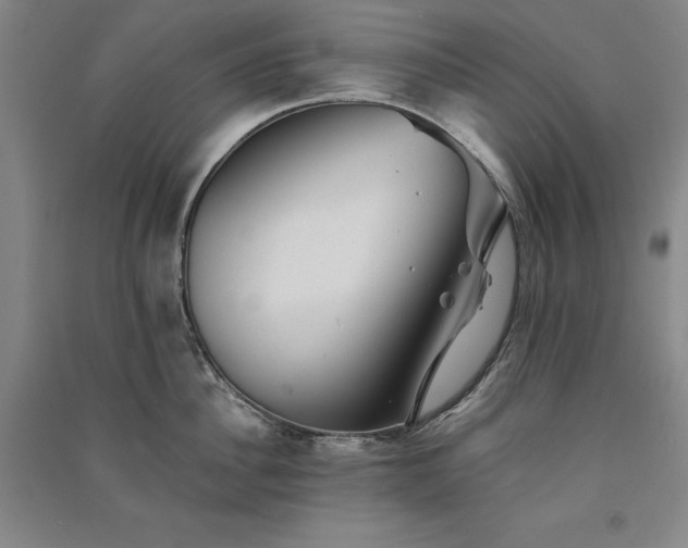 X0000091340956200708171408