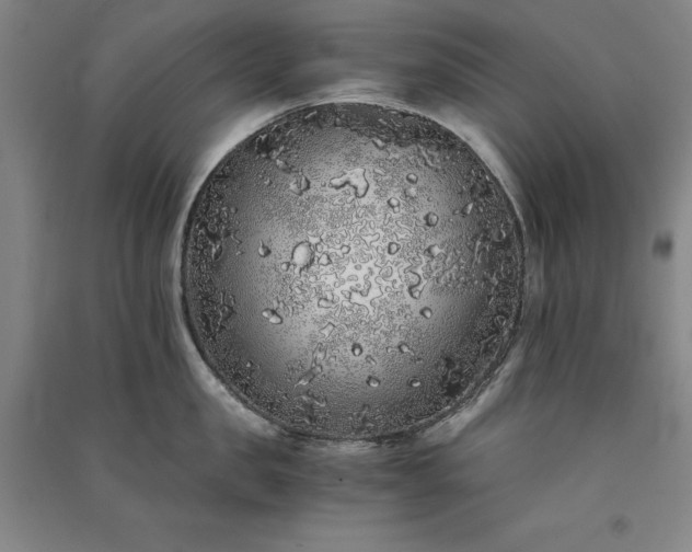 X0000091340957200708171408