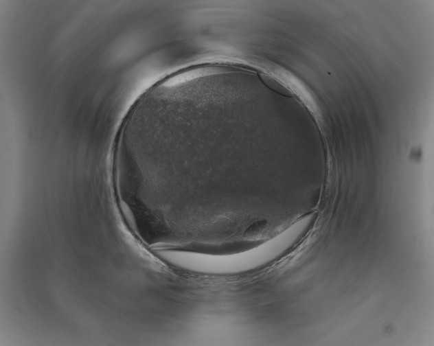 X0000091340958200708171408