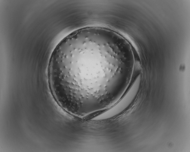 X0000091340959200708171408