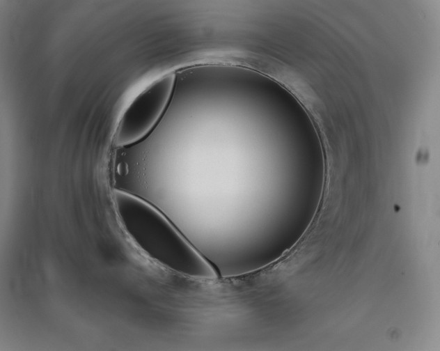 X0000091340960200708171408