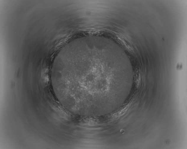 X0000091340962200708171408