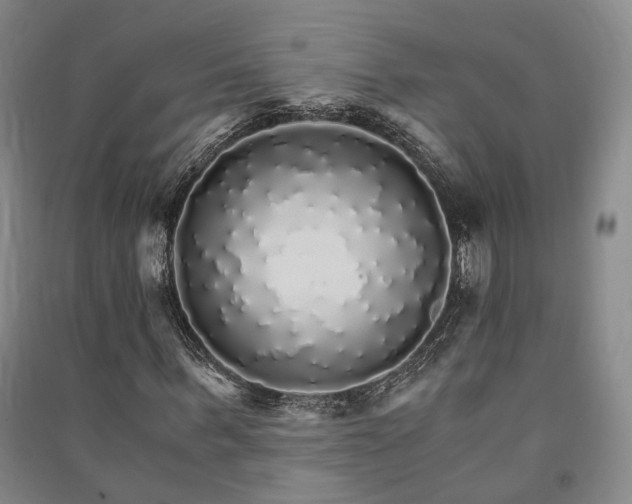 X0000091340963200708171408