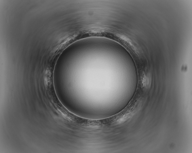 X0000091340964200708171408