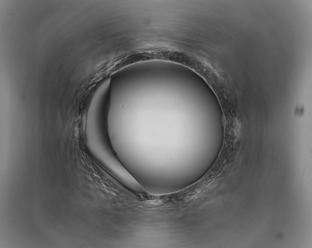 X0000091340965200708171408