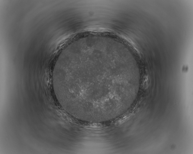 X0000091340966200708171408