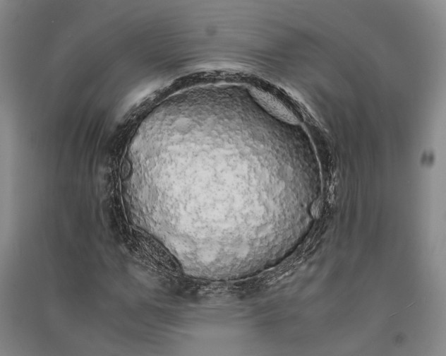 X0000091340967200708171408