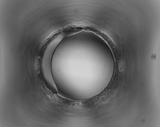 X0000091340968200708171408