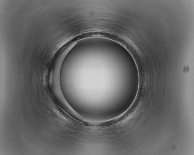 X0000091340969200708171408