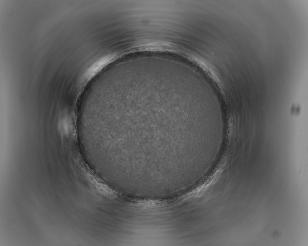 X0000091340970200708171407