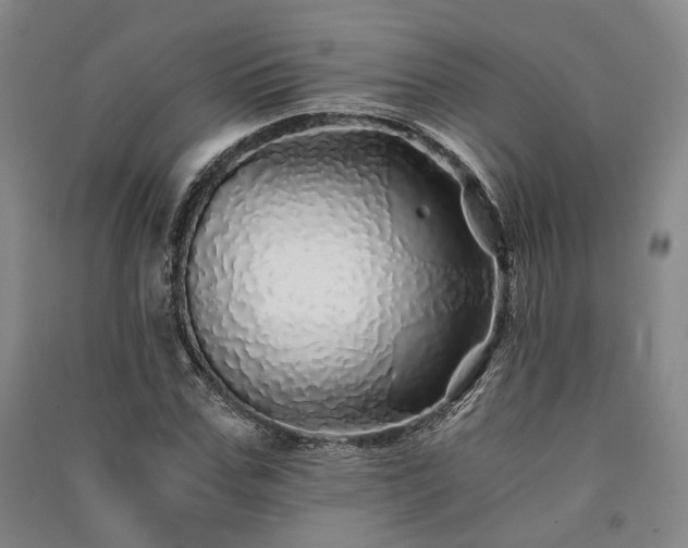 X0000091340971200708171407