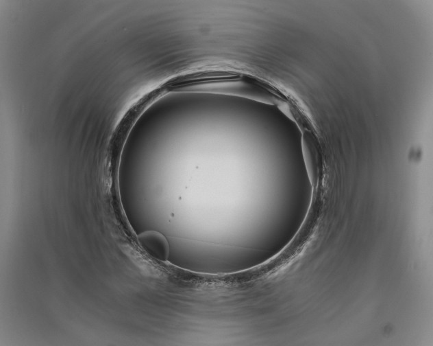 X0000091340973200708171407