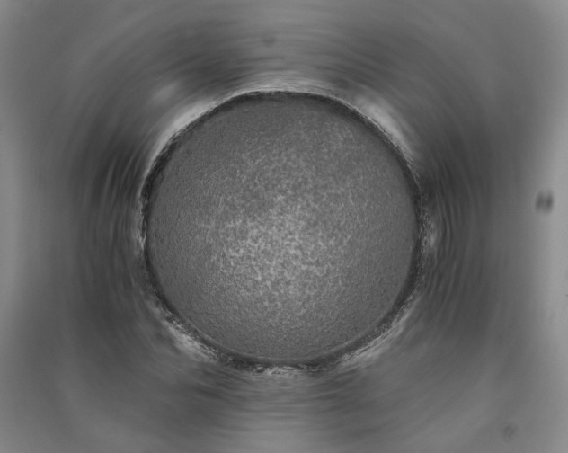 X0000091340974200708171407