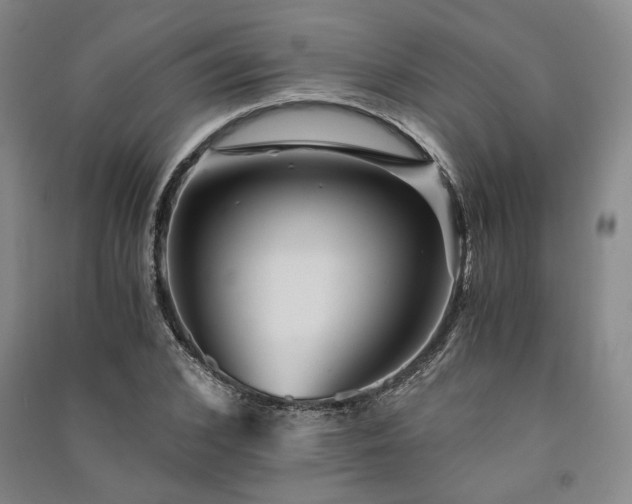 X0000091340976200708171407