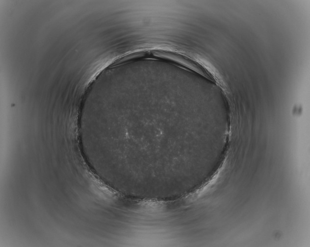 X0000091340977200708171407