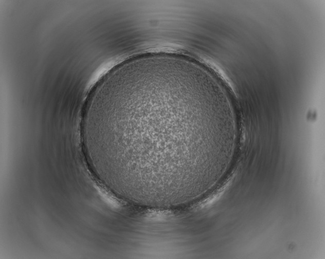 X0000091340978200708171407