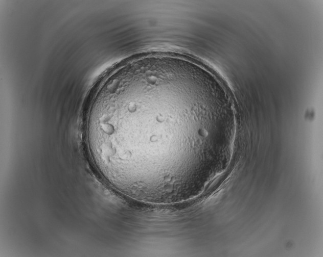 X0000091340979200708171407