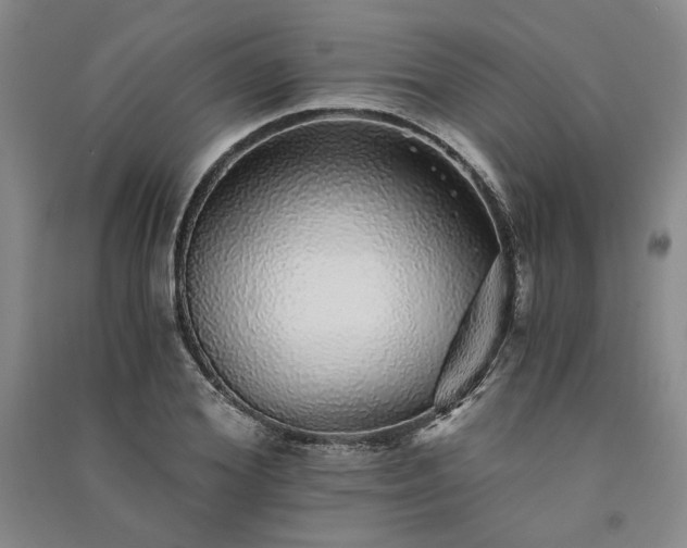 X0000091340980200708171407