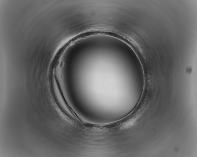 X0000091340981200708171407