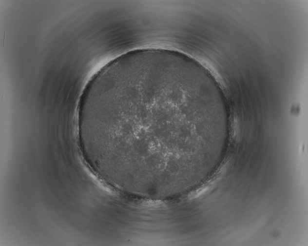 X0000091340982200708171407